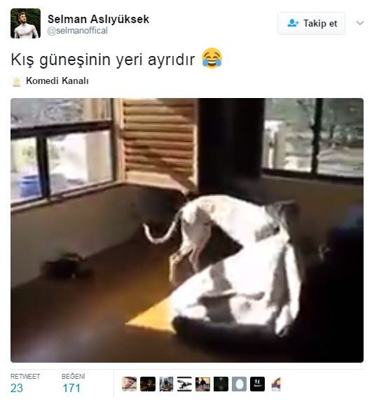 Ekran Resmi 2017-03-16 16.35.59