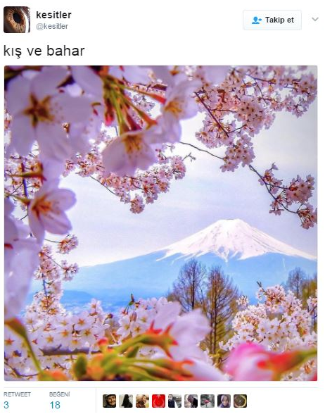 Ekran Resmi 2017-03-16 16.36.13
