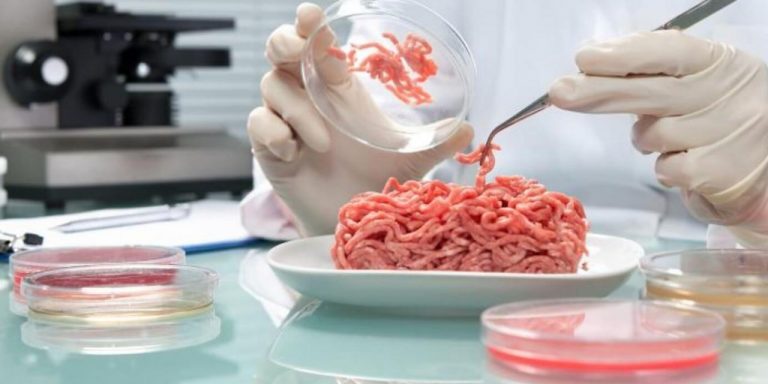 Teknolojinin Yeni Gözdesi Temiz Et Küresel Isınmayı Durduracak