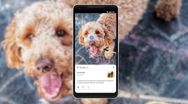 Google uygulamasına yeni AR modelleri geldi