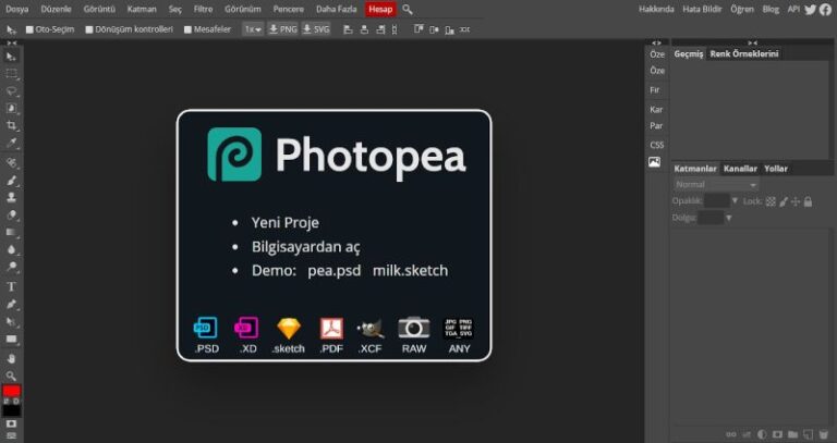 Photoshop’u aratmayan çevrimiçi fotoğraf uygulaması