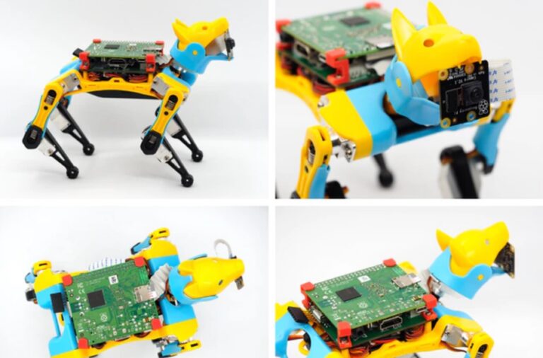 Bu robot köpek ile kodlama öğrenmek mümkün
