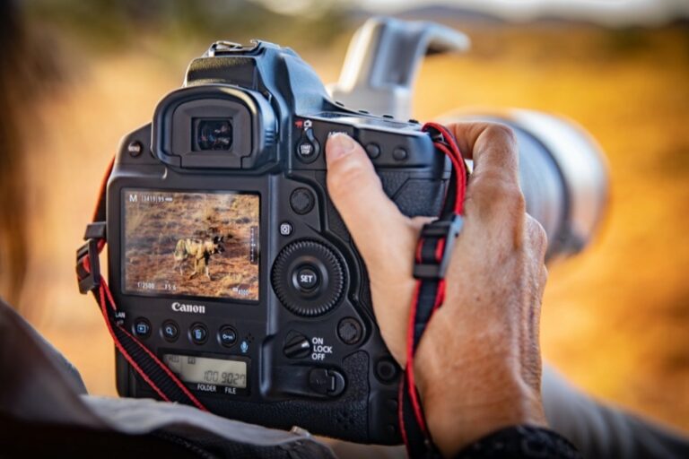 Canon yeni ürün yazılımı ile film yapımcılarını destekliyor