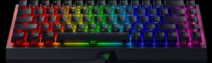 Razer Blackwidow V3 Mini Hyperspeed 