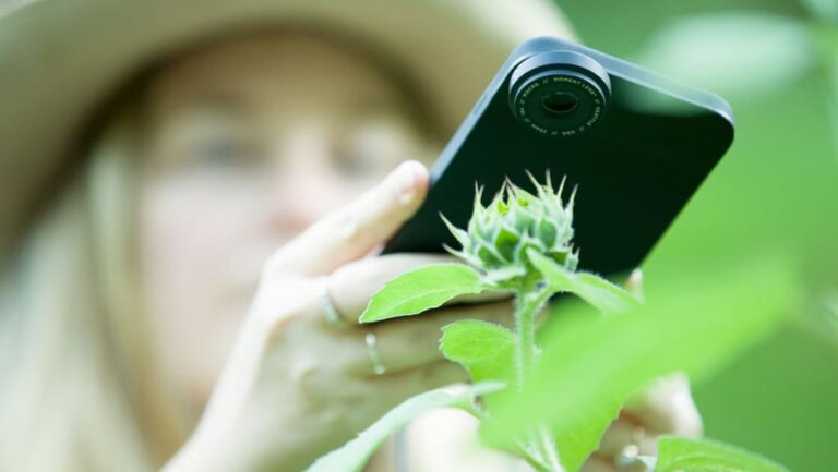 Başarılı makro fotoğraflar çekebileceğiniz orta sınıf telefonlar