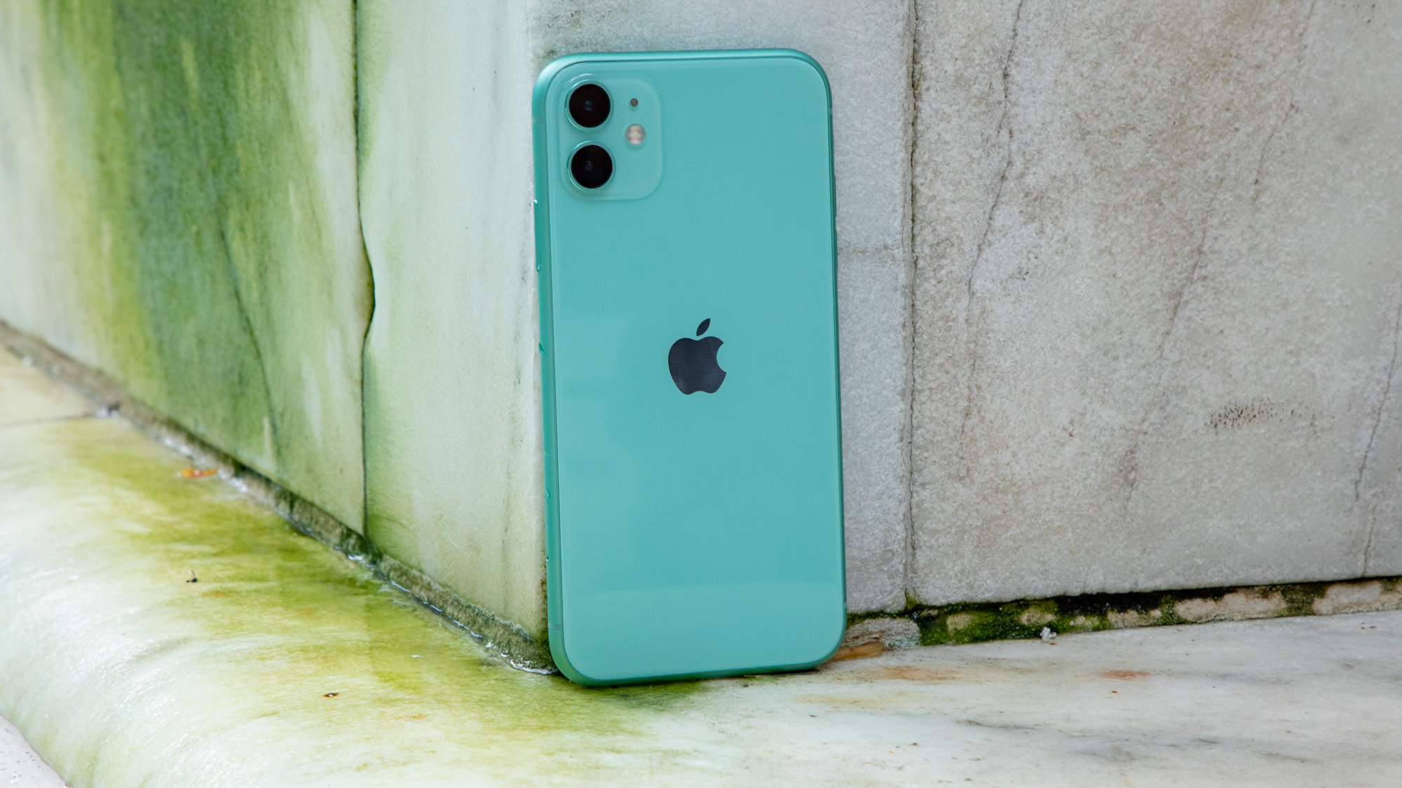 Какой iphone 11. Iphone 11 Green. Apple iphone 11 64gb зеленый. Iphone 11 Green 128. Iphone 11 s.