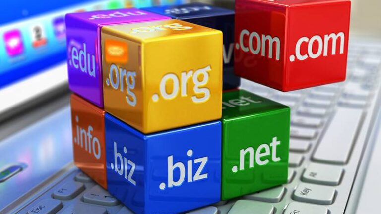 En popüler alan adı platformları