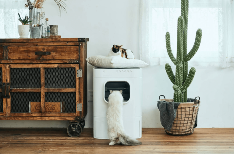 Kedi Dostlarınız İçin Akıllı Teknolojiler
